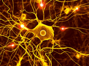 Intercellular communication is achieved with a quadrillion electrical pulses per second.