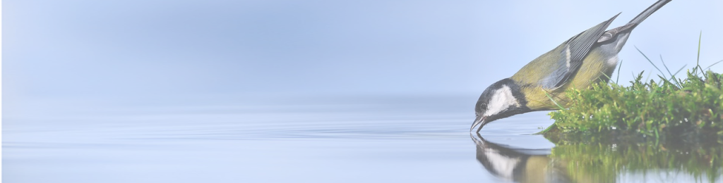 Information Centre - Drinking Water