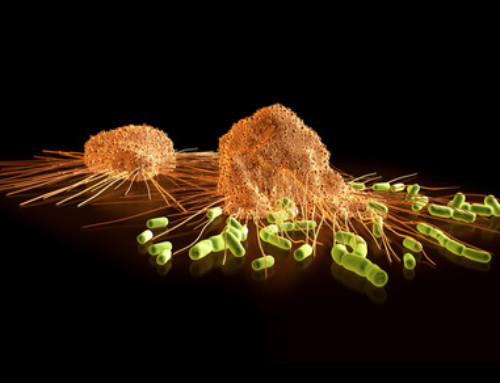 Autoimmune diseases and mobile phones